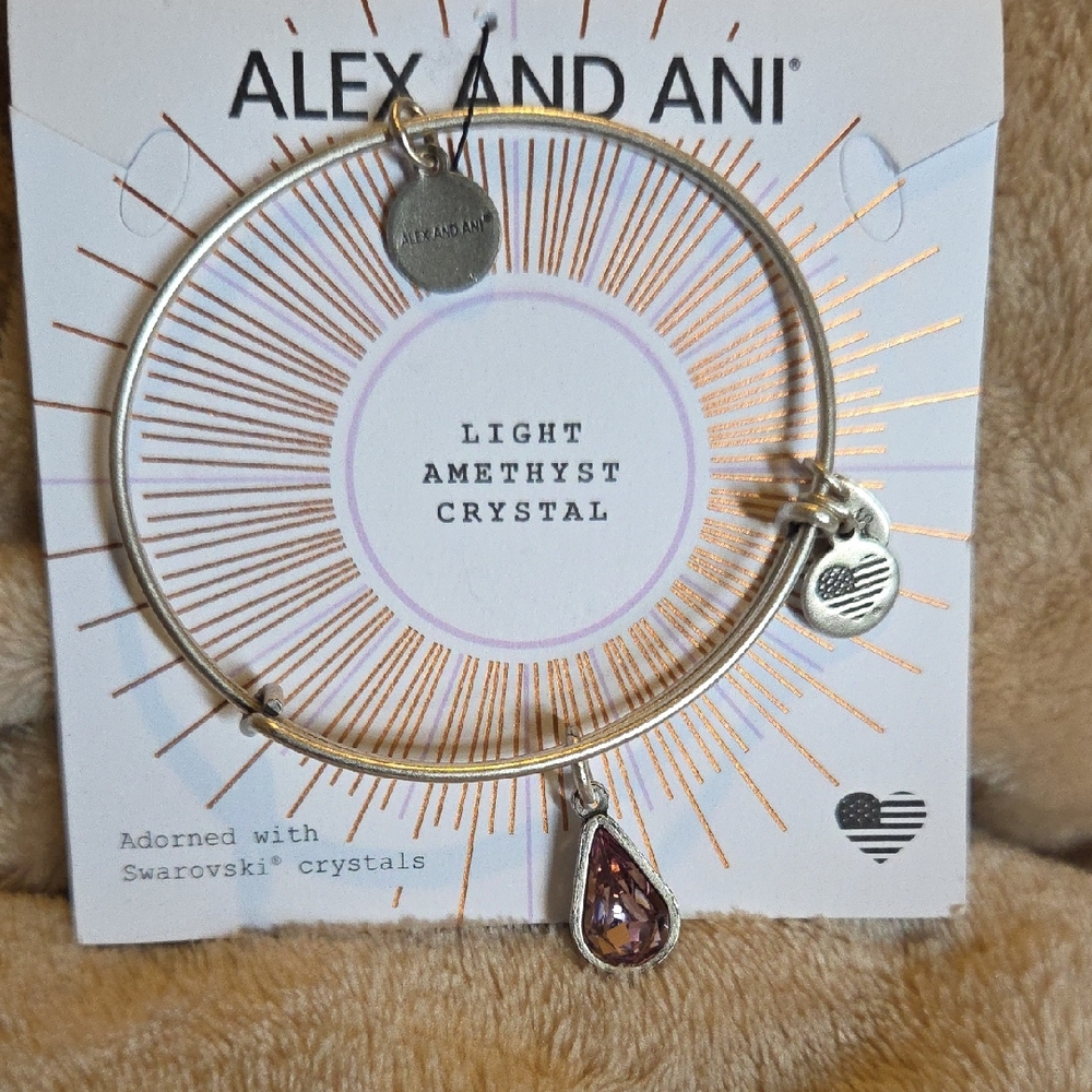 Alex and Ani Silver Bracelet with Purple Crystal
